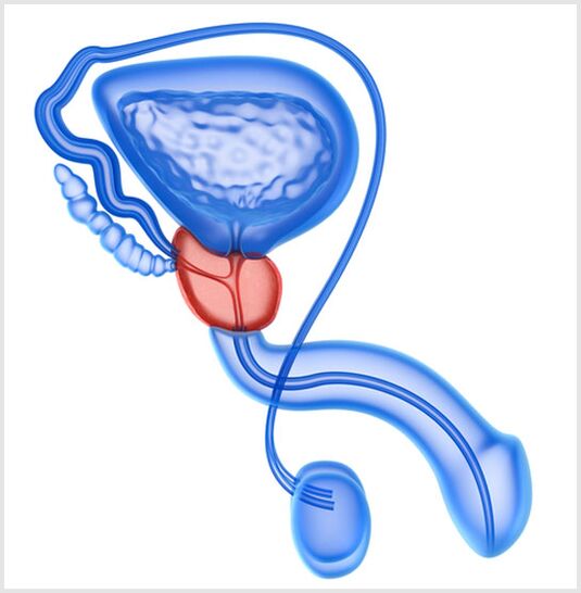 Prostat